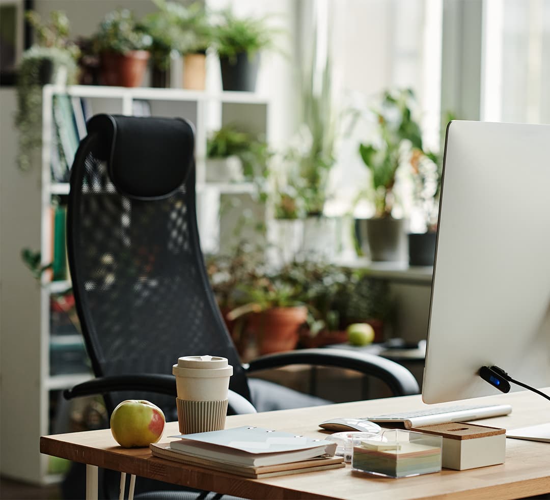 Modern professional workplace — The Secretary, Gaborone